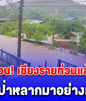 ด่วน! เชียงรายท่วมแล้ว น้ำป่าหลากมาอย่างเร็ว เร่งอพยพผู้สูงอายุ