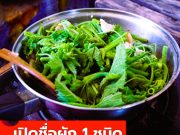 ผัก 1 ชนิดมีธาตุเหล็กสูงกว่าเนื้อวัว จีนขนานนาม “ยาบำรุงตับ” คนไทยชอบกินมาก!