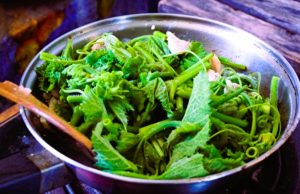 ผัก 1 ชนิดมีธาตุเหล็กสูงกว่าเนื้อวัว จีนขนานนาม “ยาบำรุงตับ” คนไทยชอบกินมาก!