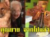 คุณยาย เพจลีโอไอ้หนูของยาย เสียชีวิตแล้ว