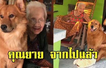 คุณยาย เพจลีโอไอ้หนูของยาย เสียชีวิตแล้ว