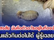สาวสงสัย มันคือตัวอะไรอยู่ในท้องปลาทู เห็นแล้วกินต่อไม่ได้ ผู้รู้เฉลย