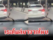 เธอโผล่มาจากไหน! สาวแทบช็อก งูเลื้อยขึ้นมาหน้าจกระจกรถกลางถนน แถมชูคอมองหน้าอีก