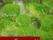 ผู้เชี่ยวชาญย้ำ “อย่าต้ม” ผักขายดี 3 อย่างนี้ กินกันทุกบ้าน แต่ส่วนใหญ่ไม่รู้!