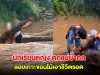 ระทึก! นักเรียนหญิง ตกแม่น้ำกก ลอยเกาะขอนไม้เอาชีวิตรอด