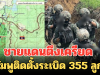 ชายแดนตึงเครียด กัมพูติดตั้งระเบิด 355 ลูก ชี้ละเมิดสนธิสัญญาออตตาวาหรือไม่