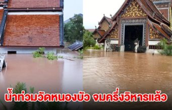วิกฤต! น้ำท่วมวัดหนองบัว จมครึ่งวิหาร จิตรกรรมฝาผนังเสียหายหนัก