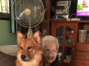 อาลัย “คุณยาย” เพจลีโอไอ้หนูของยาย เสียชีวิตกะทันหัน หลังแอดมิตไม่ถึง 24 ชม.