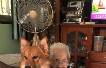 อาลัย “คุณยาย” เพจลีโอไอ้หนูของยาย เสียชีวิตกะทันหัน หลังแอดมิตไม่ถึง 24 ชม.