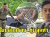 รองเทน ตำรวจดาราดัง เจออุบัติเหตุ ไม่ปล่อยผ่านทุ่มสุดตัว