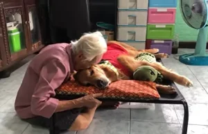 “คุณยาย” เพจลีโอไอ้หนูของยาย เสียชีวิตหลังแอดมิทไม่ถึง 24 ชม.