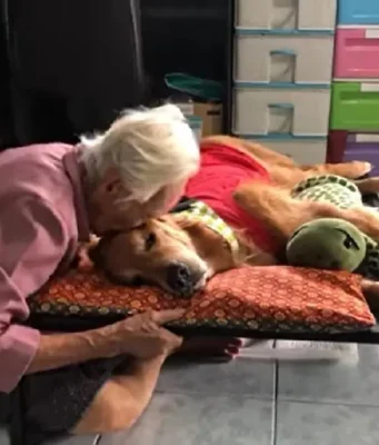 “คุณยาย” เพจลีโอไอ้หนูของยาย เสียชีวิตหลังแอดมิทไม่ถึง 24 ชม.