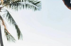 ใครจะรู้! รักแท้มีอยู่จริง”ปุ๋ย ภรณ์ทิพย์” ประกาศข่าวดีสุดเซอร์ไพรส์