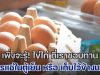 เพิ่งจะรู้!!! ไข่ไก่ ควรแช่ในตู้เย็น หรือ เก็บไว้ข้างนอก ถึงจะ