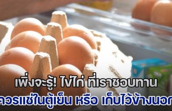 เพิ่งจะรู้!!! ไข่ไก่ ควรแช่ในตู้เย็น หรือ เก็บไว้ข้างนอก ถึงจะ