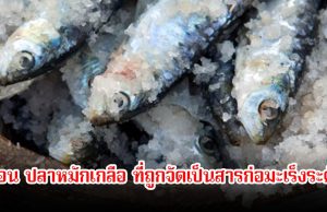 เตือน ปลาที่ถูกจัดเป็นสารก่อมะเร็งระดับ1 หลายคนชอบมาก