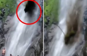 ดูกี่ครั้งก็น่ากลัว! แก๊งเพื่อนเล่นน้ำตก จู่ๆ ดินถล่มฝังกลบร่าง เป็นโศกนาฏกรรมในพริบตา