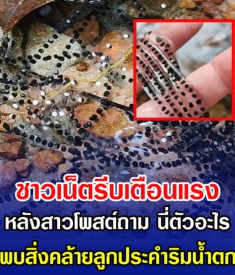 ชาวเน็ตรีบเตือนแรง หลังสาวโพสต์ถาม นี่ตัวอะไร พบสิ่งคล้ายลูกประคำริมน้ำตก