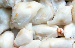 เผยปริศนา “เนื้อปูก้อน” ทำไมถึงราคาแพง ชาวประมงชี้ ความยากในการผลิตคือคำตอบ