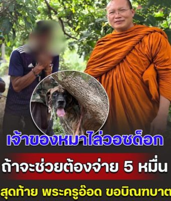 เดือด! วอชด็อกเข้าช่วยหมาผอมโซ ถูกล่ามในสวนลำไย เจอเจ้าของหมาไล่ ถ้าจะช่วยต้องจ่าย 5 หมื่น สุดท้ายจบสวย พระครูอ๊อด ขอบิณฑบาต