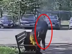 เกิดอะไรขึ้น? ชายนั่งสูบบุหรี่ จู่ๆ กลายเป็น “ลูกไฟมนุษย์” คนมองเฉยจนถูกไฟคลอก 80%