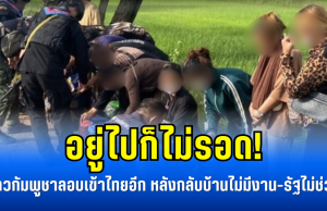 อยู่ไปก็ไม่รอด! ชาวกัมพูชาลอบเข้าไทยอีก หลังกลับบ้านไม่มีงาน-รัฐไม่ช่วย