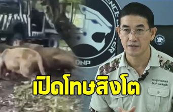 กรมอุทยานฯ เปิดโทษ สิงโต 5 ตัว ที่ก่อเหตุขย้ำเจ้าหน้าที่