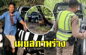 เผยสภาพร่าง เจ้าหน้าที่ถูกสิงโตขย้ำ คาดเข้ามาเล่นด้วย