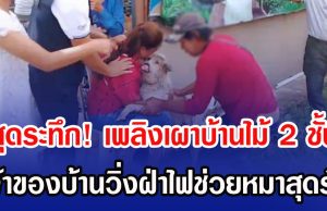 สุดระทึก! เพลิงเผาบ้านไม้ 2 ชั้น เจ้าของบ้านวิ่งฝ่าไฟช่วยหมาสุดรัก