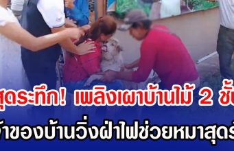 สุดระทึก! เพลิงเผาบ้านไม้ 2 ชั้น เจ้าของบ้านวิ่งฝ่าไฟช่วยหมาสุดรัก