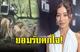 มิ้นต์ ชาลิดา ตกใจ หลังเห็นข่าวสิงโตรุมขย้ำ จนท.