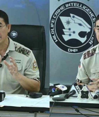 กรมอุทยานฯ เปิดโทษ สิงโต 5 ตัว