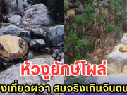 หัวงูยักษ์โผล่ นักท่องเที่ยวผวา สมจริงเกินจินตนาการ (ต่างประเทศ)