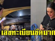 ฮาย อาภาพร แมวคลอดลูกในรถ เผยให้เห็นเลขทะเบียนชัดๆ