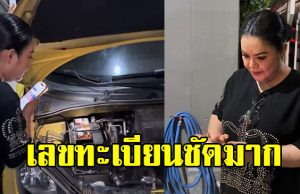 ฮาย อาภาพร แมวคลอดลูกในรถ เผยให้เห็นเลขทะเบียนชัดๆ