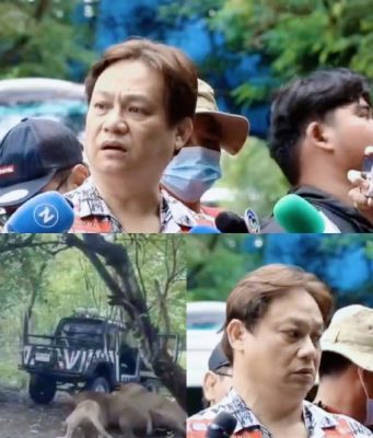 “หมอธวัชชัย” เห็นกับตา เล่าละเอียดนาทีสิงโตขย้ำ มันแปลกมาก