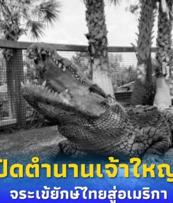 ปิดตำนาน เจ้าใหญ่ จากไทยสู่อเมริกา เจ้าของสถิติใหญ่ที่สุดในโลก