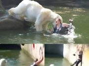 ความสยองที่สวนสัตว์เบอร์ลิน: หญิงวัย 32 ปี กระโดดลงไปในกรงหมีขั้วโลก