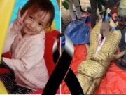 เด็กหญิงวัย 5 😢👇ขวบ เสียชีวิตหลังถูกจระเข้กินต่อหน้าพ่อแม่…