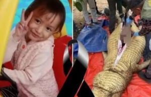 เด็กหญิงวัย 5 😢👇ขวบ เสียชีวิตหลังถูกจระเข้กินต่อหน้าพ่อแม่…