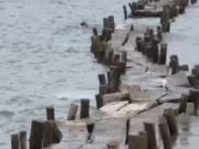 พบ สะพานหินพันเนตร มีอายุกว่า 650 ปี โผล่ขึ้นจากทะเลสาบ