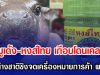หมูเด้ง-หงส์ไทย เกือบโดนเคลม! หลังต่างชาติชิงจดเครื่องหมายการค้า พาณิชย์