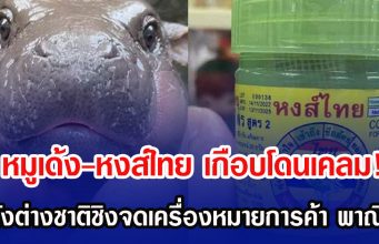 หมูเด้ง-หงส์ไทย เกือบโดนเคลม! หลังต่างชาติชิงจดเครื่องหมายการค้า พาณิชย์