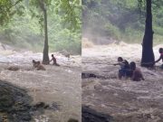 นาทีชีวิต!! น้ำป่าถล่มน้ำตกสาริกา 3 นักท่องเที่ยวติดกลางสายน้ำ จนท.เร่งเข้าช่วย