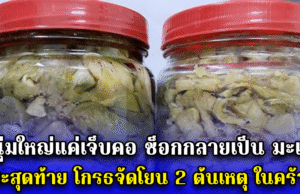 ชายแค่เจ็บคอ ช็อกกลายเป็น “มะเร็ง” ระยะสุดท้าย โกรธจัดโยน “2 ต้นเหตุ” ในครัวทิ้ง!