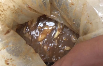 สาวใหญ่ ซื้อปลาร้าสดมาจากตลาด หวังทำกับข้าวรสเด็ด แต่พอเปิดออกดูสุดผงะตาตั้ง เจอสิ่งไม่คาดฝัน ช่วยอิชั้นด้วยค่ะ.