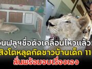อินฟลูฯชื่อดังเคลื่อนไหวแล้ว!! หลังสิงโตหลุดกัดชาวบ้านเด็ก 11 ขวบ ลั่นพร้อมจบเรื่องเอง