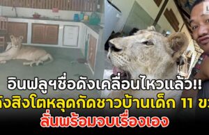 อินฟลูฯชื่อดังเคลื่อนไหวแล้ว!! หลังสิงโตหลุดกัดชาวบ้านเด็ก 11 ขวบ ลั่นพร้อมจบเรื่องเอง