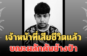 อาลัยยิ่ง เจ้าหน้าที่อุทยาน เสียชีวิตแล้ว ขณะปฏิบัติหน้าที่ ผลักดันช้างป่า