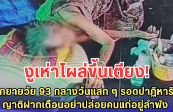งูเห่าโผล่ขึ้นเตียง ฉกยายวัย 93 กลางวันแสก ๆ รอดปาฏิหาริย์ ญาติฝากเตือนอย่าปล่อยคนแก่อยู่ลำพัง